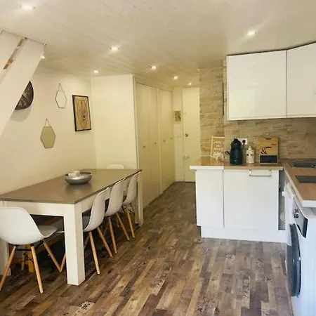 Duplex T3 6,8 Pers Vue Sur Les Pistes 2000 *